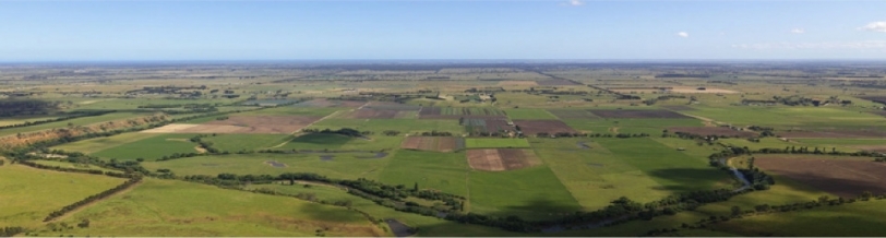 Busch Organics